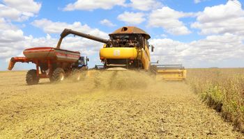 Valor da produção agrícola cai pelo segundo ano consecutivo no Brasil, segundo IBGE