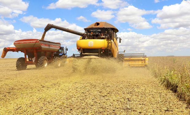 Valor da produção agrícola cai pelo segundo ano consecutivo no Brasil, segundo IBGE