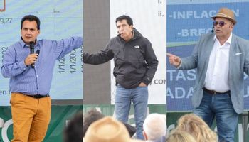 ¿Se vienen más bajas de retenciones? Qué anticipan los economistas top del campo para 2026