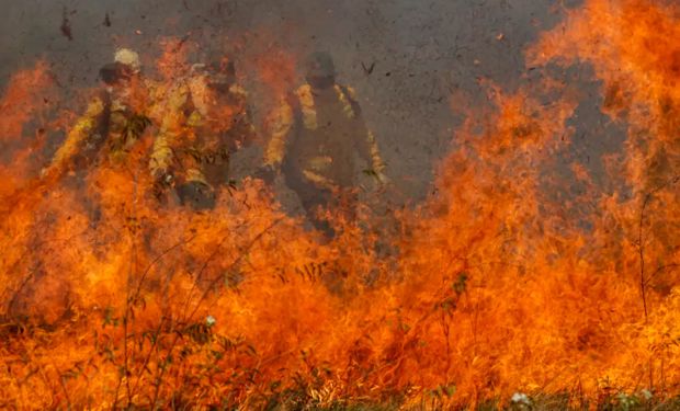 “Estamos diante de uma das piores situações já vistas no Pantanal", diz Marina Silva