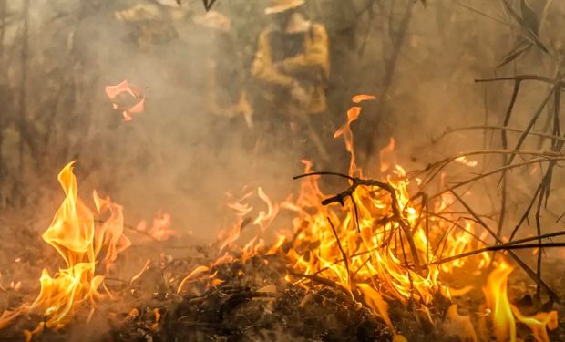 Pantanal é o bioma mais atingido pelo aumento da temperatura no Brasil, aponta MapBiomas