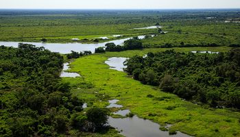 Mapa reúne equipes para concluir projeto de U$ 400 milhões para o Pantanal 