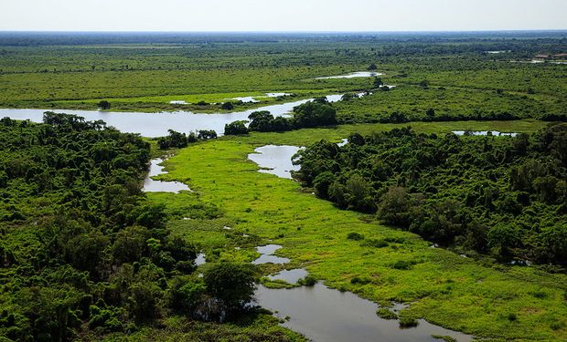 Ações serão realizadas em seis municípios de Mato Grosso do Sul e em 12 municípios da Baixada Cuiabana, no pantanal mato-grossense. (Foto - Marcos Vergueiro/Secom-MT)