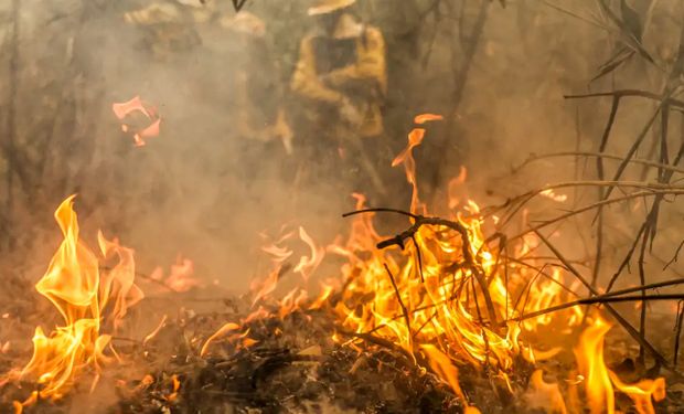 Pantanal tem este ano maior área queimada em junho