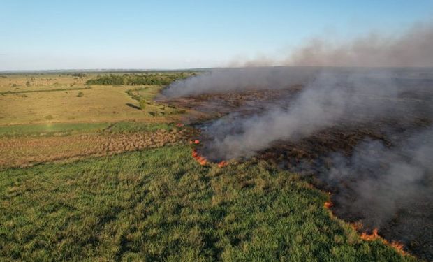 Pantanal poderá ter crise hídrica histórica em 2024, aponta estudo