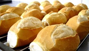“Trigo tropical” pode baratear pão na mesa dos brasileiros