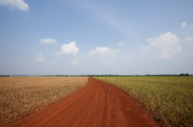 noticiaspuertosantacruz.com.ar - Imagen extraida de: https://news.agrofy.com.ar/noticia/210166/crecen-cerca-argentina-como-son-impuestos-campo-pais-que-se-volvio-furor-inversores