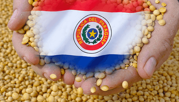 Por la sequía, Paraguay baja impuestos a los productores de soja