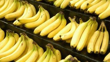 Paraguay reclama a la Argentina que libere el ingreso de bananas