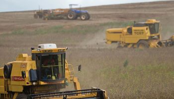 Produtores do Paraná recebem orientação e ligam o alerta para chegada do La Niña