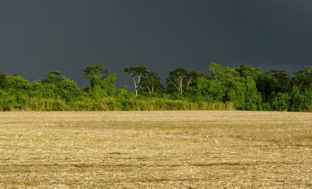 Tempo vira e nova frente fria avança com chuva pelo Centro-Sul do Brasil