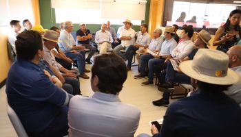 Paraná articula bloco com estados do Sul para proteção contra gripe aviária