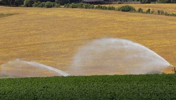 Paraná prorroga ICMS zero para produtos do agro até 2026