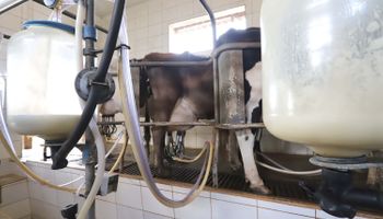PR endurece regras para leite importado e retira carnes de aves da substituição tributária