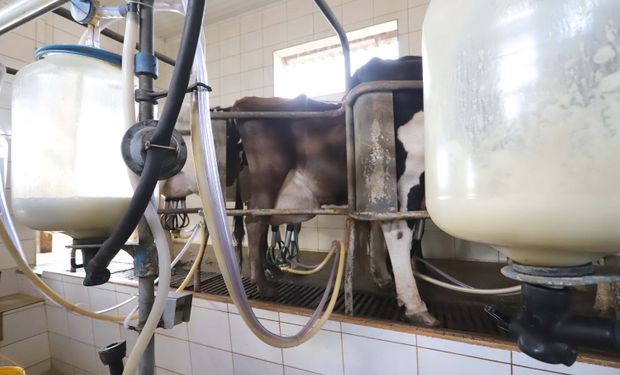 Paraná endurece regras para leite importado e retira carnes de aves da substituição tributária