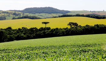 Paraná aposta em inteligência artificial para ampliar exportações ao mercado europeu