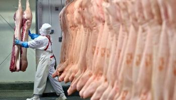 Trabajadores de la carne acordaron un aumento salarial del 45 % 
