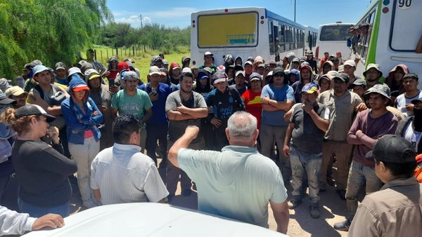 paritaria de la cosecha de aceitunas