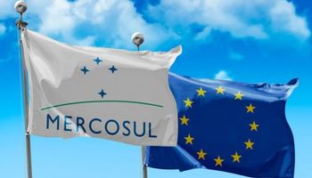 Parlamento Europeu leva acordo UE–Mercosul à Justiça e cria novo impasse