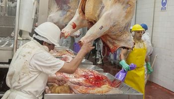 Paro de frigoríficos: desde el martes no distribuirán carne en reclamo a una medida del Gobierno