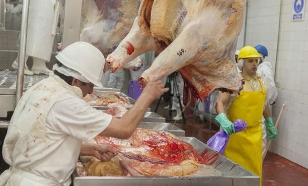 Paro de frigoríficos: desde el martes no distribuirán carne en reclamo a una medida del Gobierno