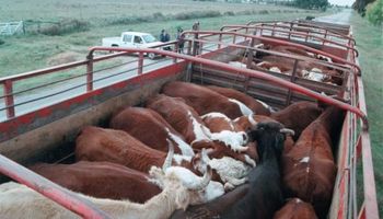 Negocios condicionados al paro de ATE-SENASA