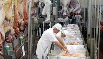 Trabajadores de la carne lanzan paro para mañana