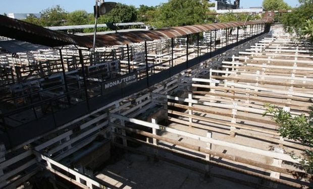 Paro del campo: no se comercializará hacienda desde el jueves en rechazo al cierre en la exportación de carne