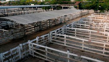 Último día del paro: comienzan los movimientos en Liniers mientras se aguarda una respuesta por la carne