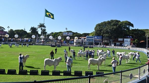 expozebu2w