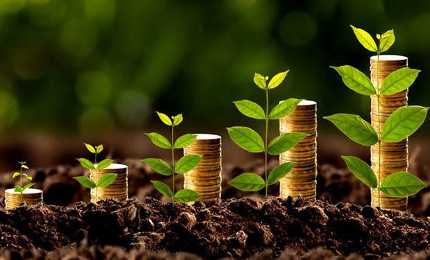 Com 12,2% de alta, agro responde por aumento do PIB no 1º trimestre
