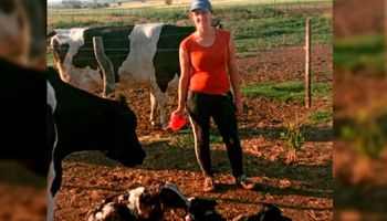 "Es una alegría inmensa": una vaca sorprendió al tener trillizos en un tambo de Entre Ríos