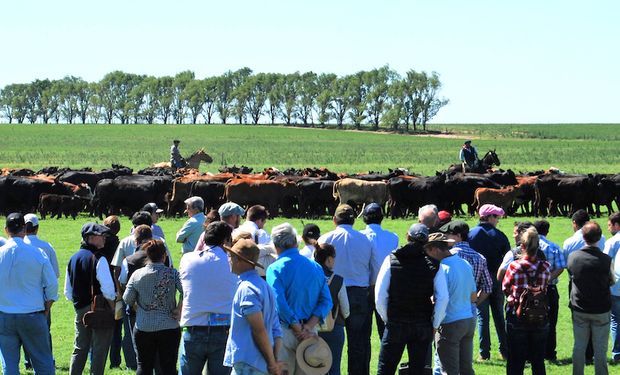 La pasión mundialista continúa en 2023: Argentina será sede del Mundial de Brangus