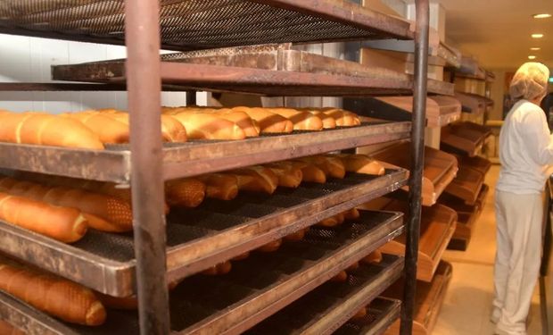 Fideicomiso de trigo: molinos pequeños y medianos pidieron al Gobierno que no intervenga y presentaron una denuncia