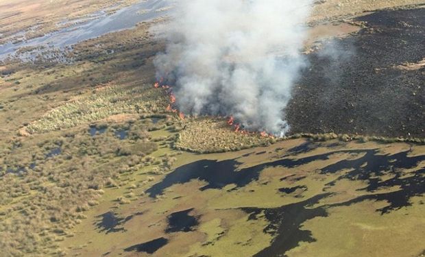 El campo condenó la quema de islas y pidió la intervención de Entre Ríos