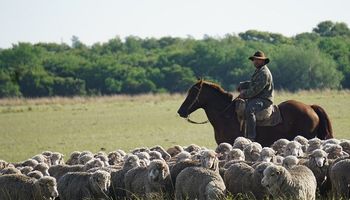 Aumentaron a 7.456 pesos la prestación por desempleo para trabajadores rurales