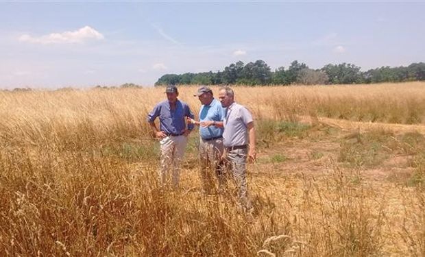 Técnicos argentinos en campos marginales de EE.UU.. Foto: LA NACION