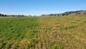 Solo 1 de cada 4 productores fertiliza bien las pasturas: cómo impacta en la producción de carne y leche