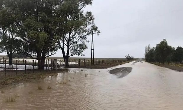 De sequía a inundación: las imágenes de Carmen de Patagones tras llover 250 milímetros