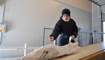 Japón: un nuevo mercado para la carne bovina y ovina de la Patagonia