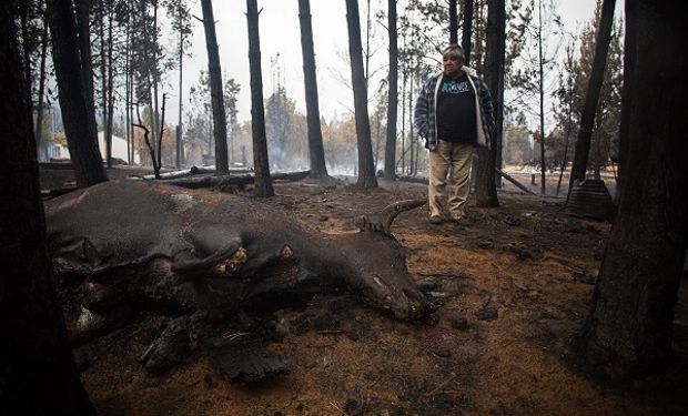 Incendios en la Patagonia: hallaron muerto junto a su caballo y el perro a un peón rural