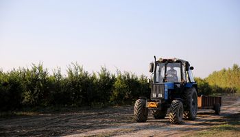 Ranking de marcas: se patentaron más de 6100 tractores, cosechadoras y pulverizadoras en lo que va de 2025