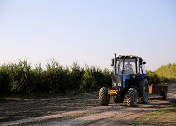 Ranking de marcas: se patentaron más de 6100 tractores, cosechadoras y pulverizadoras en lo que va de 2025