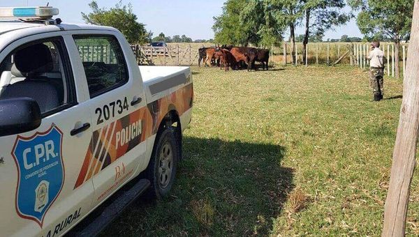 campo