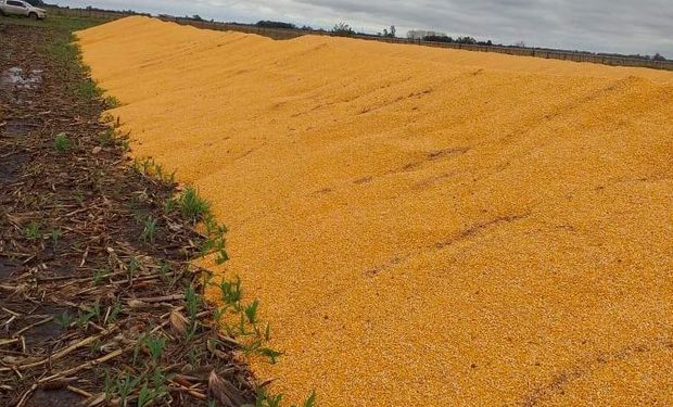 Alertan que disminuyó la patrulla rural: testimonio de productores de todo el país sobre la inseguridad