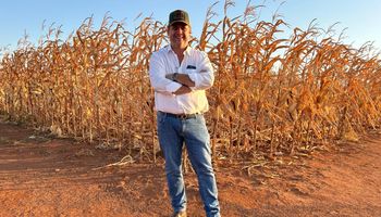 Agricultor fatura R$ 30 mil por hectare e fica sócio de usina de etanol de milho