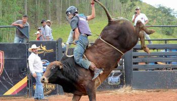 Escola de peões de touros prepara próximos campeões dos rodeios