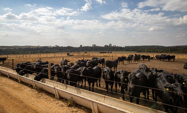 Projeto levantou os custos em 19 propriedades rurais de 5 estados. (foto - Sistema CNA/Senar)