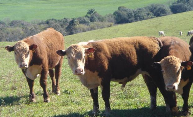 Acesso ao mercado de carnes das Filipinas faz agro gaúcho projetar novos negócios