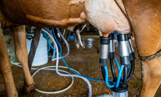 Redução dos preços nominais do leite influenciou na queda do IPPA-Pecuária. (foto - Sistema CNA/Senar)